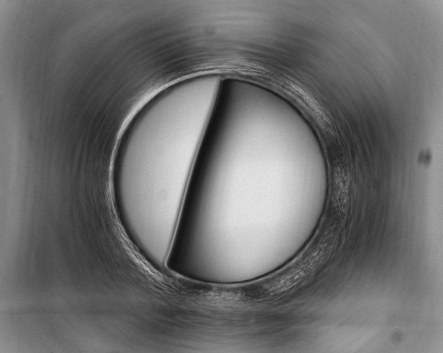 X0000101110788200806261108