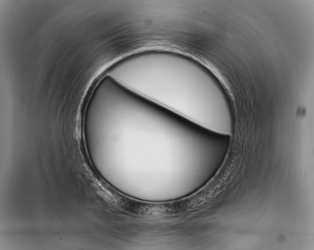 X0000101110791200806261108