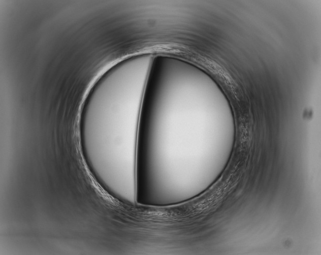 X0000101110792200806261108