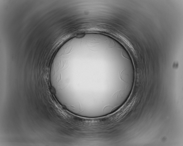 X0000101110793200806261108
