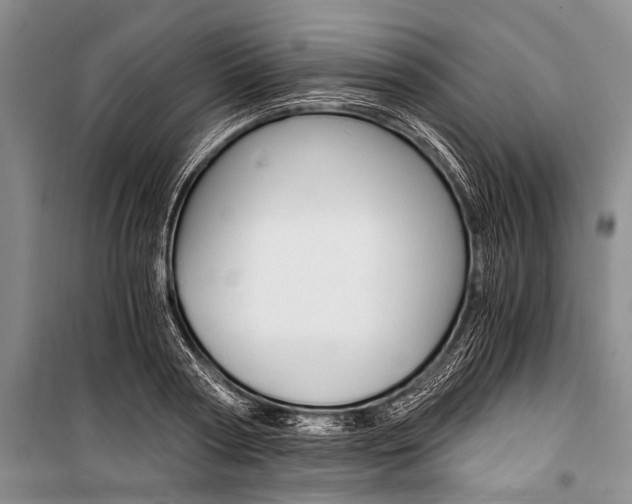 X0000101110794200806261107