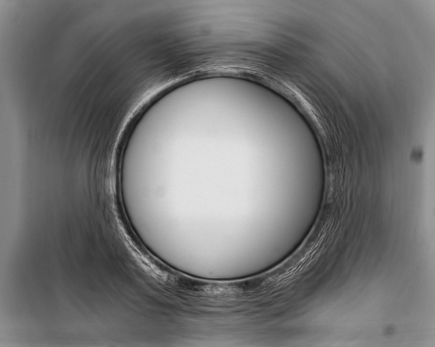X0000101110795200806261107