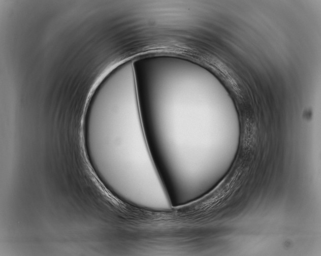 X0000101110796200806261107