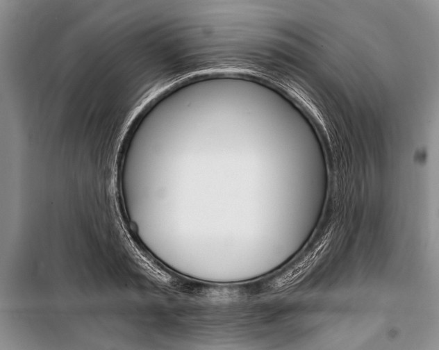 X0000101110797200806261107