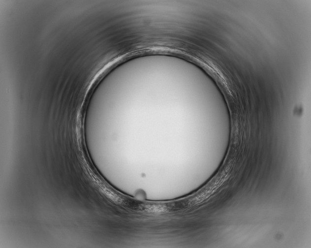 X0000101110798200806261107