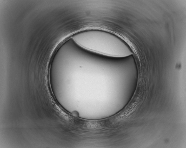 X0000101110799200806261107