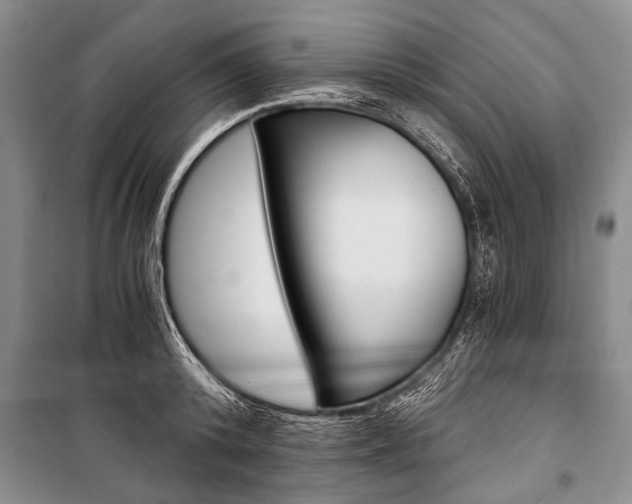 X0000101110800200806261107