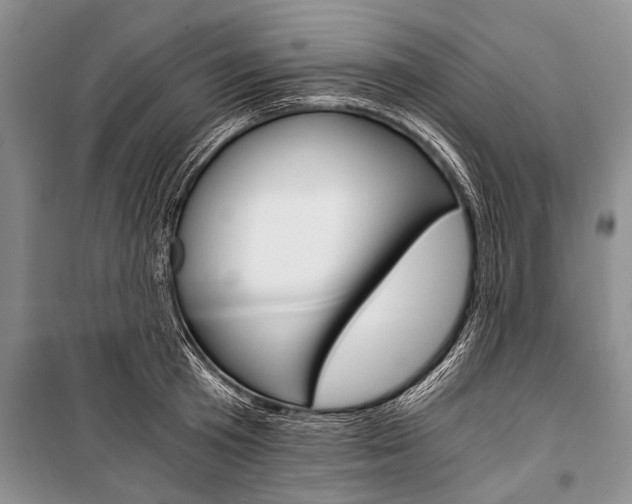 X0000101110801200806261107