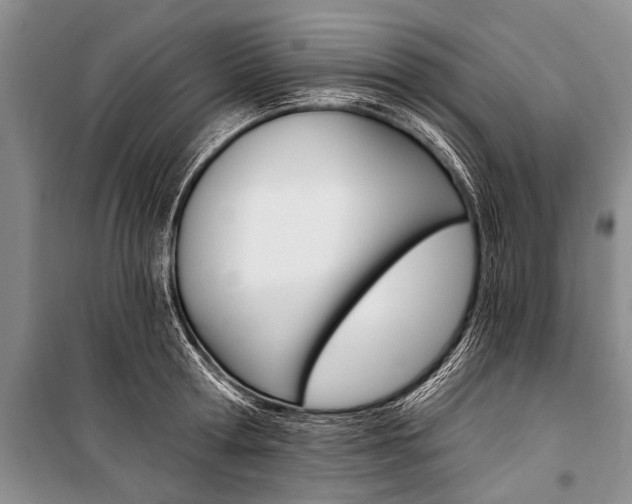 X0000101110802200806261107