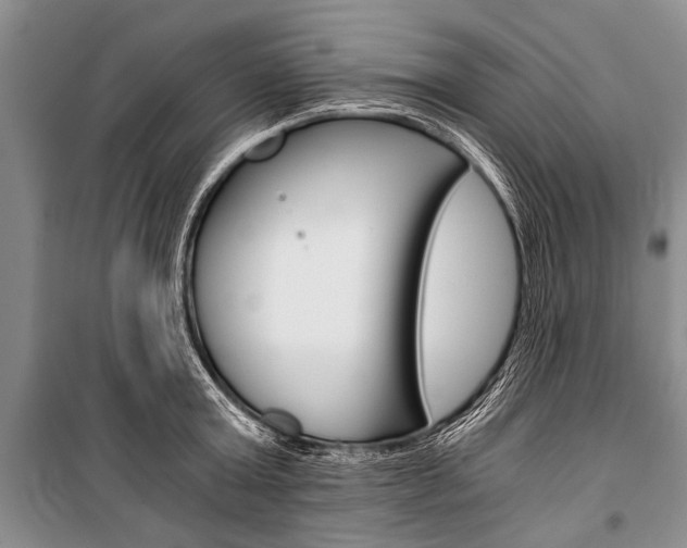 X0000101110803200806261107