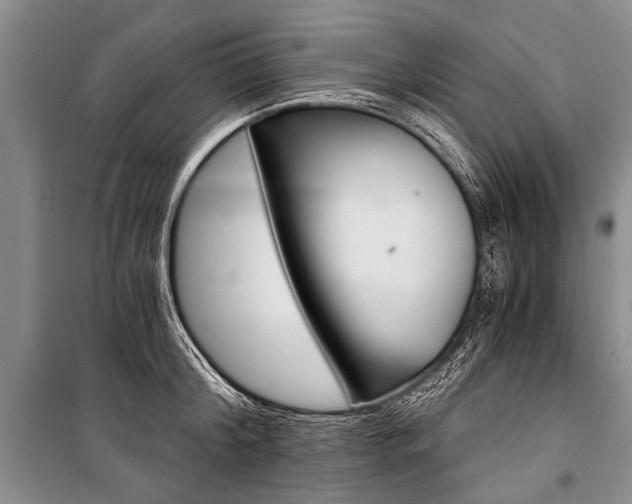 X0000101110804200806261107