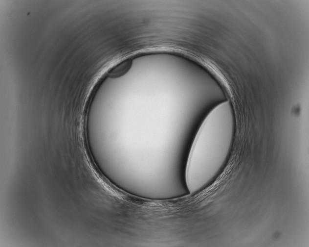 X0000101110805200806261107