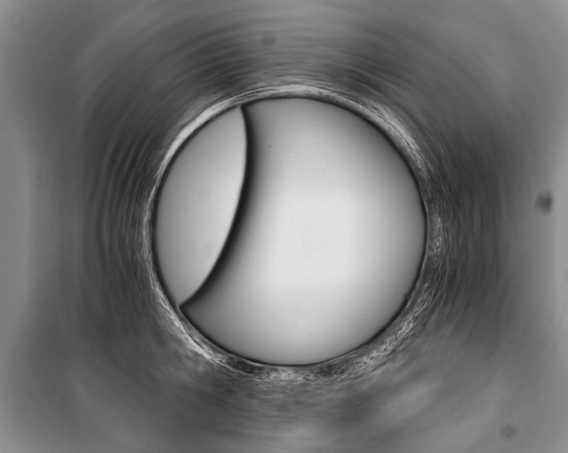 X0000101110806200806261107