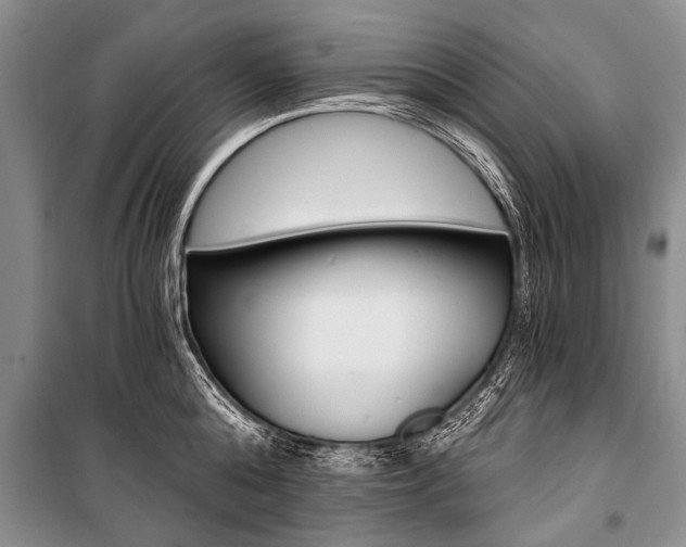 X0000101110808200806261107