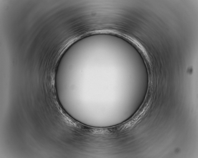 X0000101110809200806261107