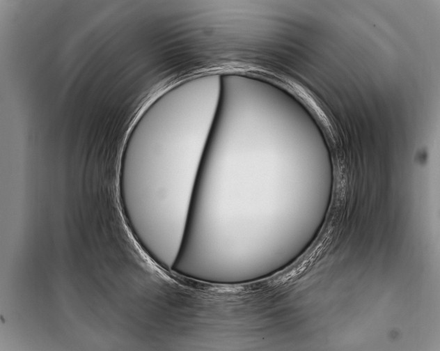 X0000101110810200806261107