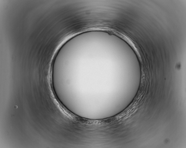 X0000101110811200806261107