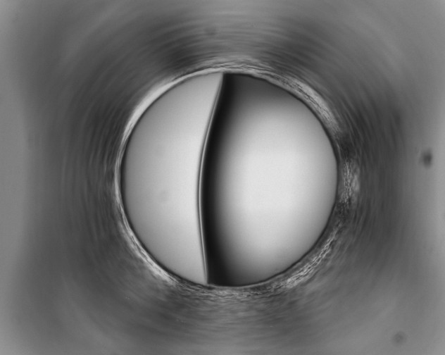 X0000101110812200806261107
