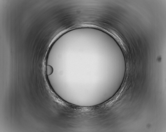 X0000101110814200806261107