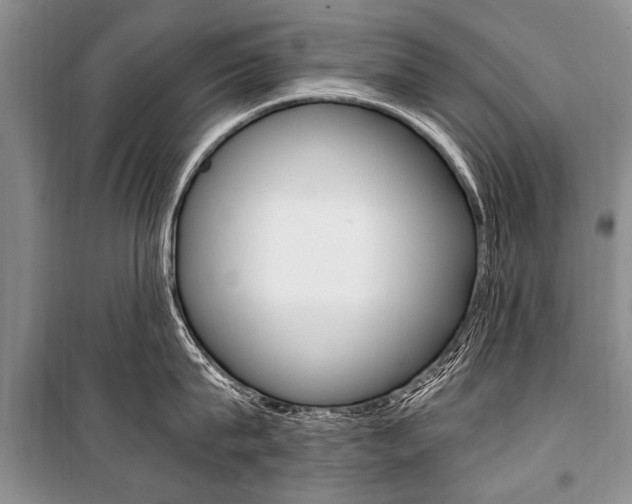 X0000101110815200806261107