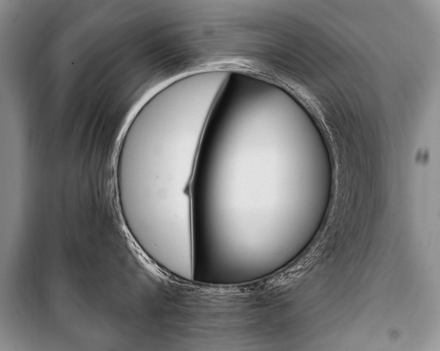 X0000101110816200806261107