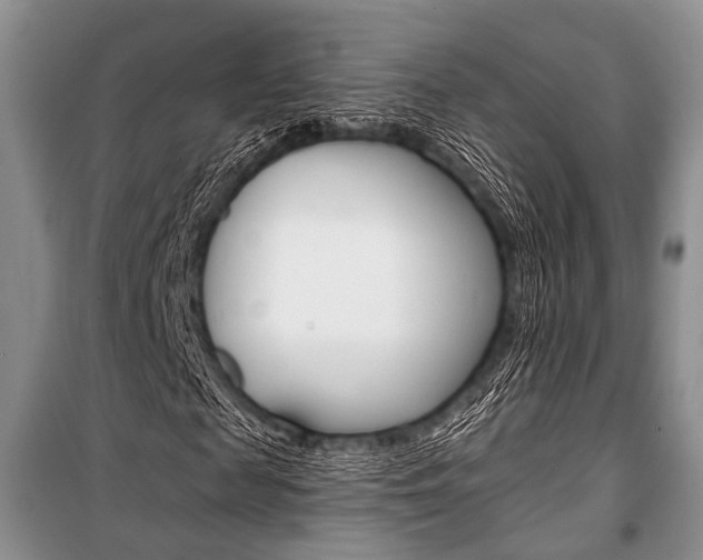 X0000101110817200806261107