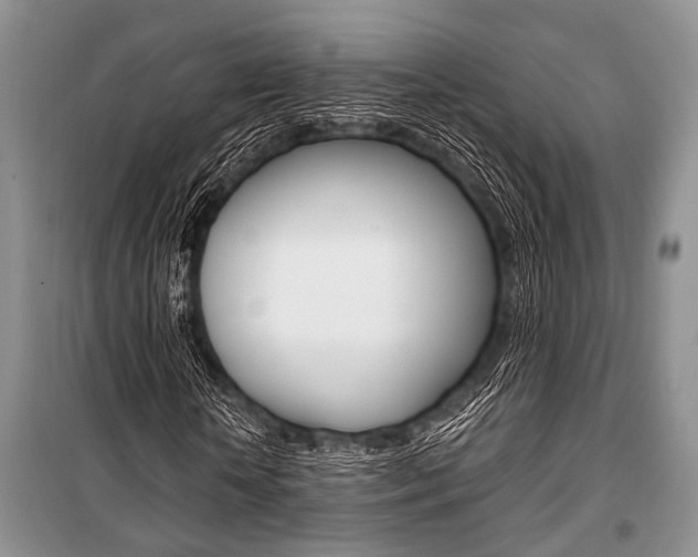 X0000101110818200806261107