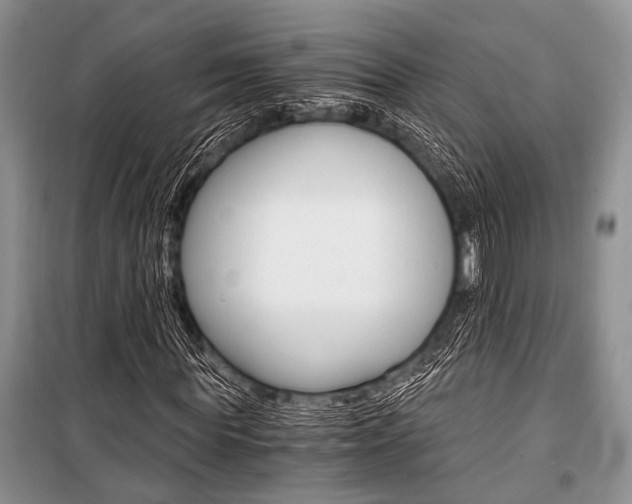 X0000101110819200806261107