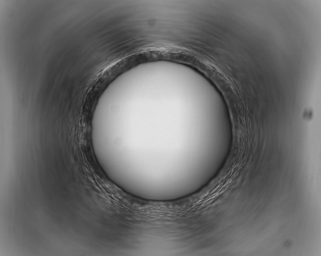 X0000101110822200806261107