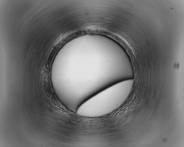 X0000101110823200806261107