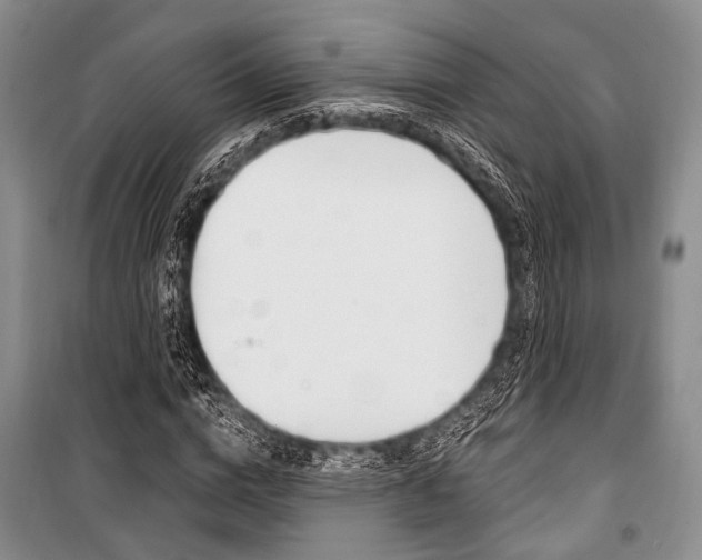 X0000101110824200806261107