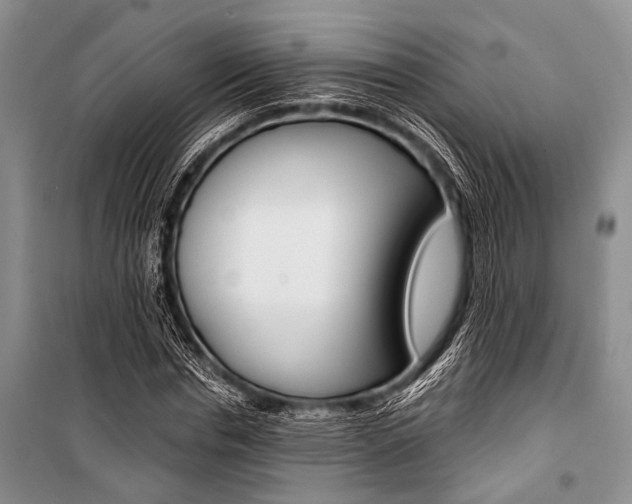 X0000101110826200806261107