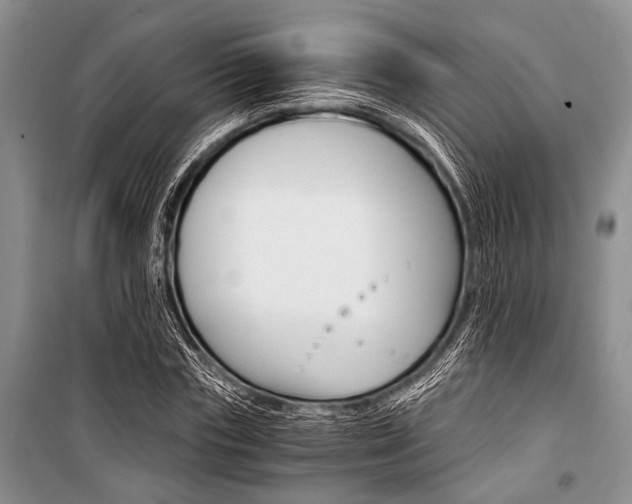 X0000101110827200806261107