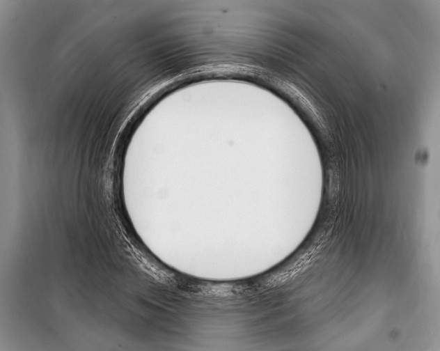 X0000101110828200806261107