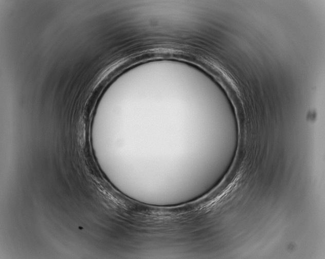 X0000101110829200806261107