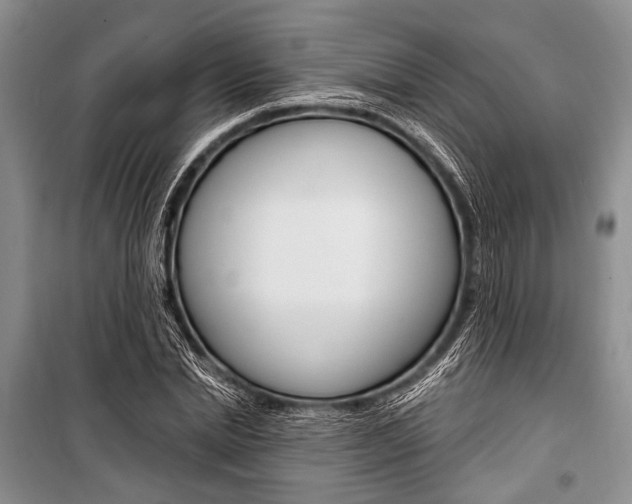 X0000101110830200806261107