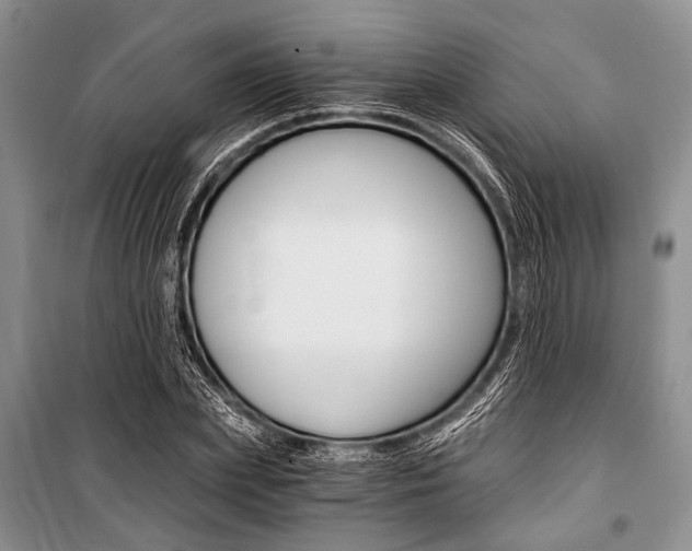X0000101110831200806261107