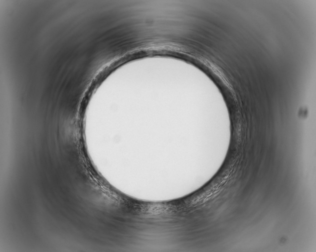 X0000101110832200806261107