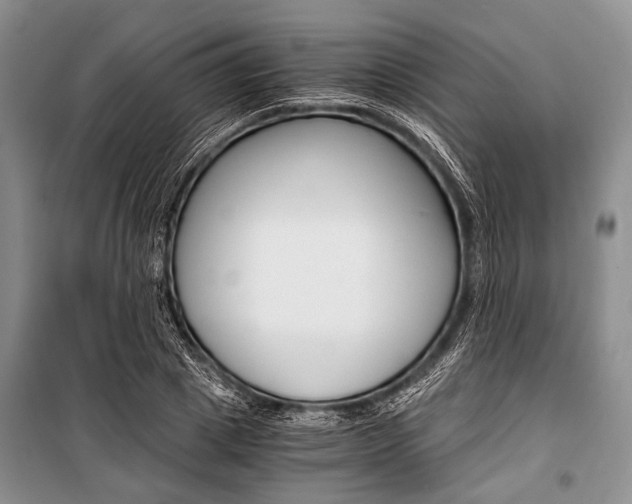 X0000101110833200806261107