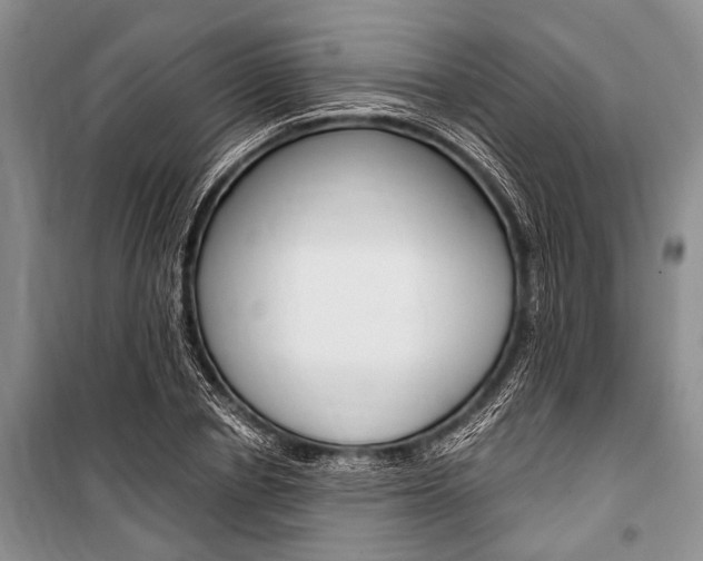 X0000101110834200806261107