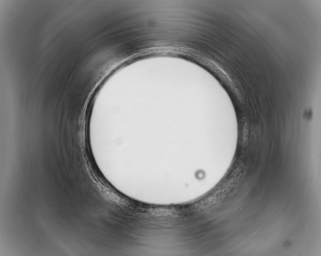 X0000101110836200806261107