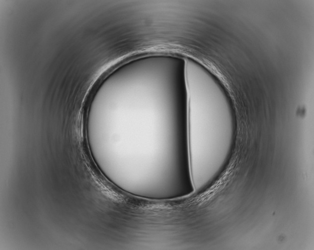X0000101110838200806261107