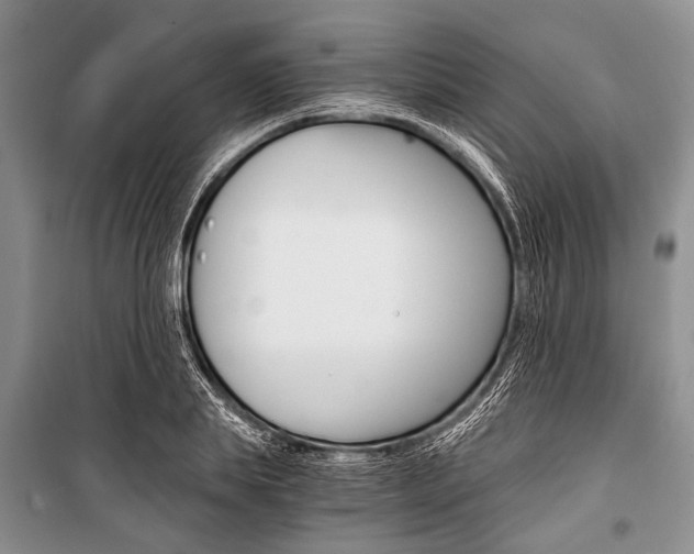 X0000101110839200806261107