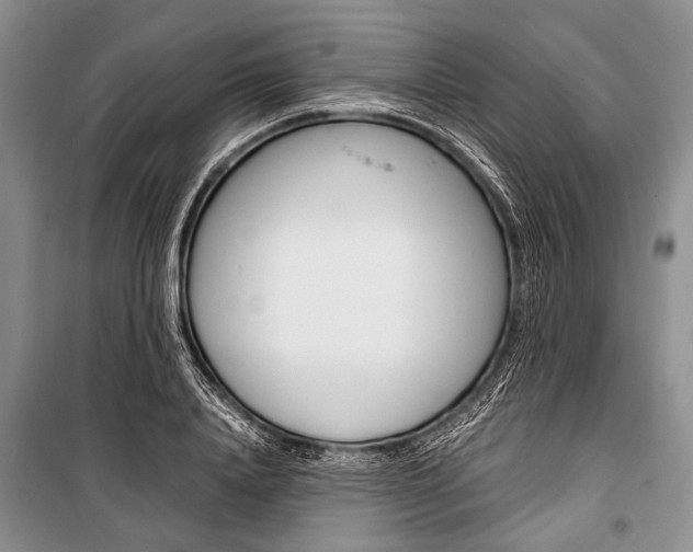 X0000101110840200806261107