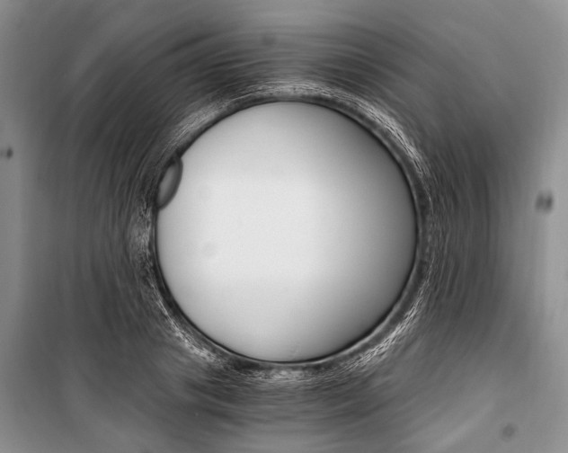 X0000101110841200806261107