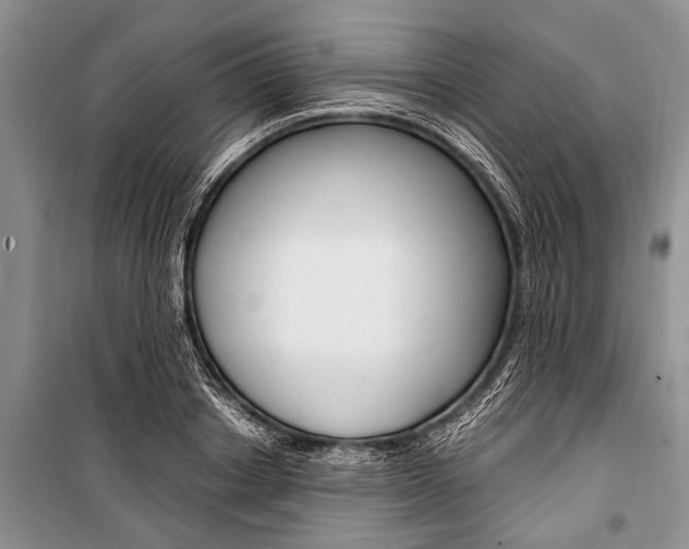 X0000101110842200806261107