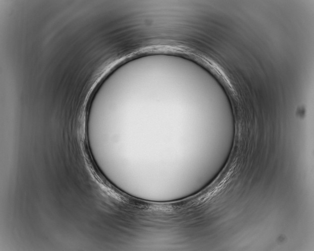 X0000101110844200806261107