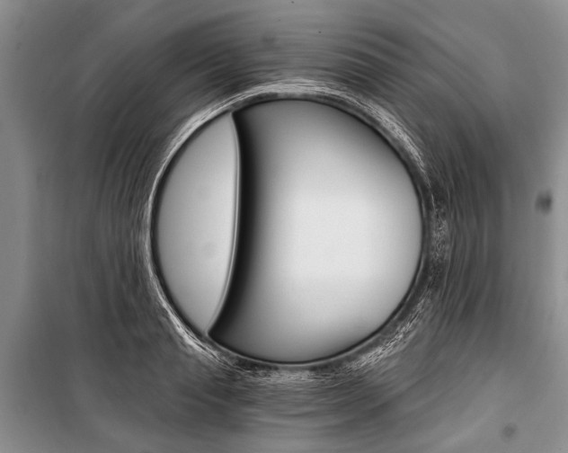 X0000101110845200806261107