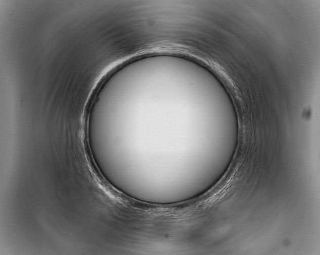 X0000101110846200806261107
