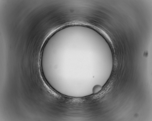X0000101110847200806261107